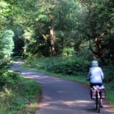 2408G 074 Werra Radweg